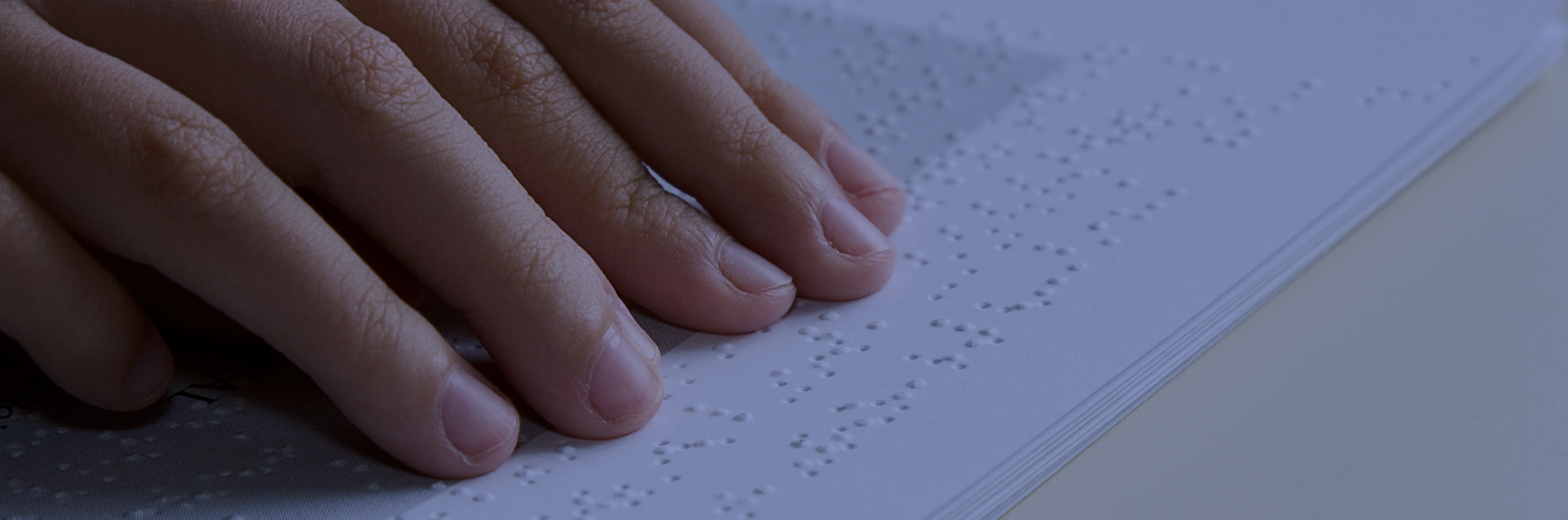 Blista Brailletec [EN]